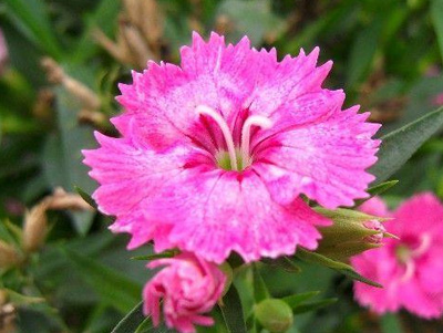 礼品包装产品成功的应用案例