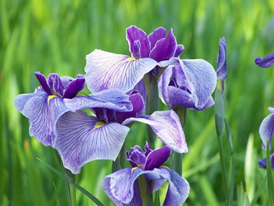 普通礼品包装亿应用案例