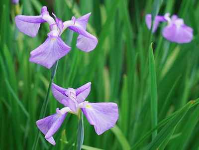 礼品包装产品成功的应用案例