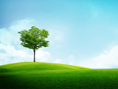 环保产品包装应用案例